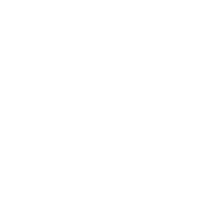 SteadiVolt logo